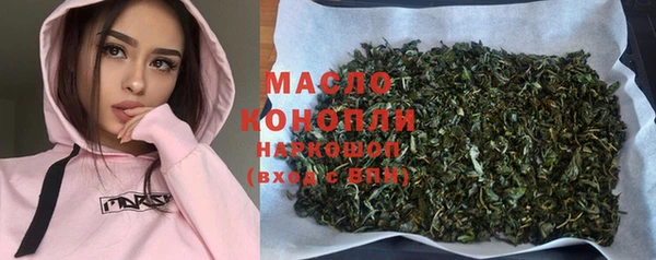 стаф Богородск