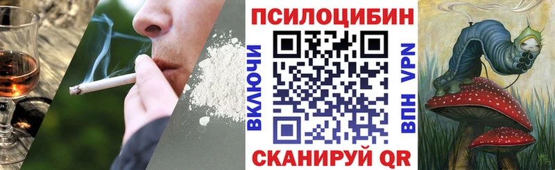 купить наркоту  Горячий Ключ  MEGA вход  Галлюциногенные грибы Psilocybine cubensis 
