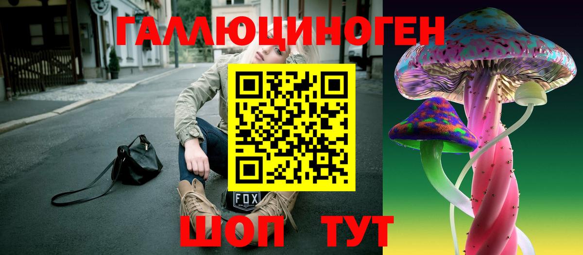 Галлюциногенные грибы Psilocybe  Вход с VPN  Горячий Ключ  Псилоцибиновые грибы прущие грибы 